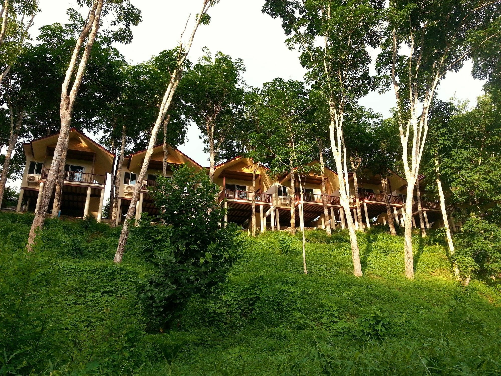 Khao Sok River Home Resort Khao Sok National Park Eksteriør bilde