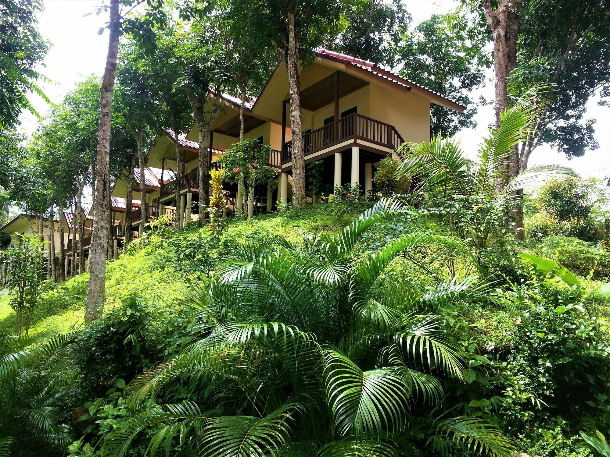 Khao Sok River Home Resort Khao Sok National Park Eksteriør bilde